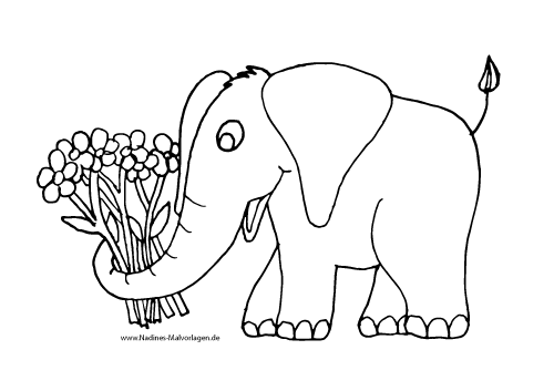 elefant mit bunten blumen  nadines ausmalbilder
