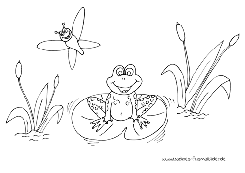 froehlicher frosch im teich mit libelle  nadines ausmalbilder